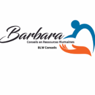 Logo de l'entreprise BLWCONSEILS