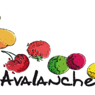 Logo de l'entreprise Le glacier de l'avalanche